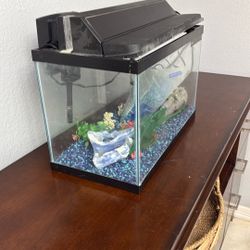 Fish Tank