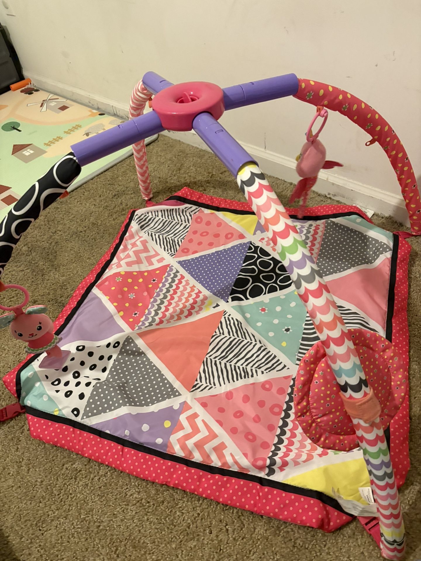 Baby Play Mat