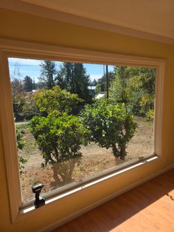 Free large window