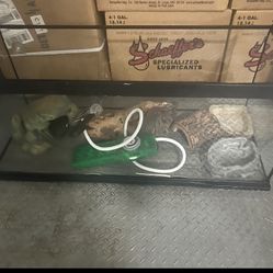 20 Gallon With accessories