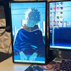 Gaming Monitor/w Mount