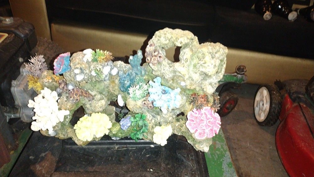 Rock πͺ¨π₯ For Fish π π Tank $50