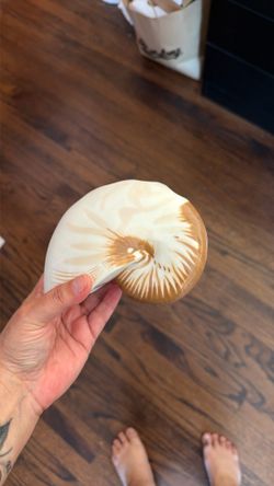 Toothbrush holder