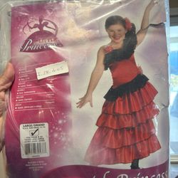 Flamenco/Spanish Costume