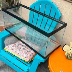 Fish Tank