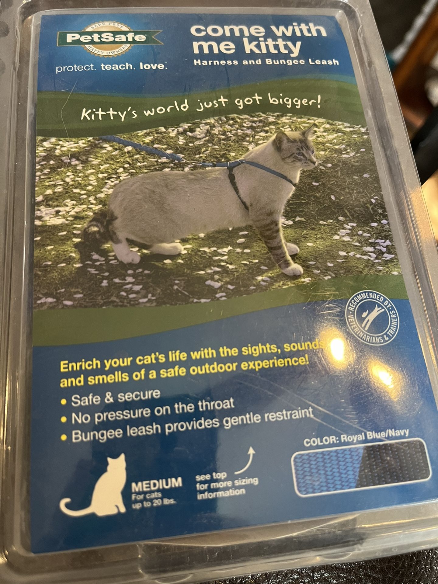 Cat Harness   Pu Bridgewater 