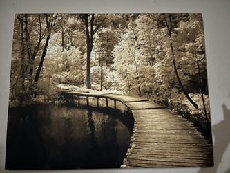 Canvas Painting