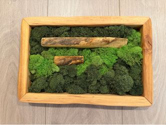 Preserved Moss Wall Art