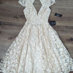 Jacqueline Champagne Floral Embroidered Backless Midi Dress

