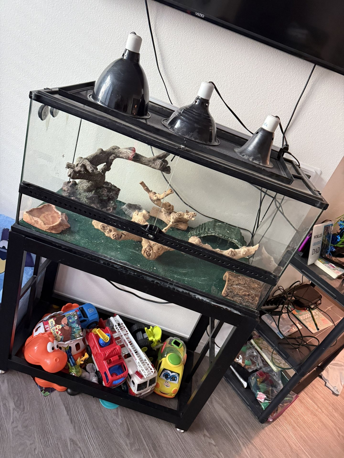 Reptile Terrarium Large And Everything Included