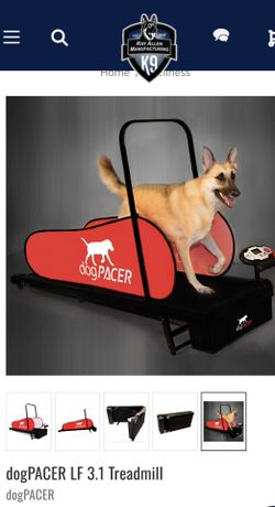 Dog Pacer Treadmill for Sale in Phoenix, AZ OfferUp