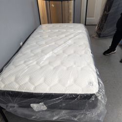 Twin Mattresses and Bedframe 
