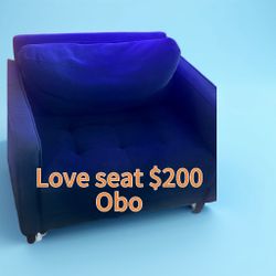Comfy  Stylish  Like New  Love Seat 