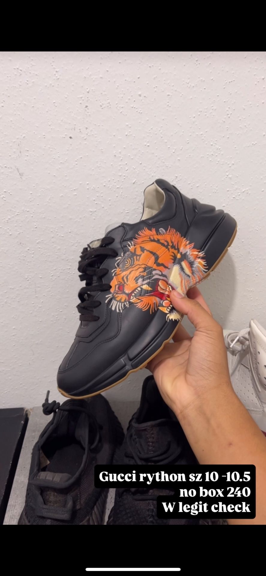 Gucci Raython Sz 10 No Box