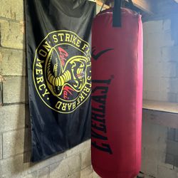 Heavy Bag That No longer Will Fit In My New Home(comes With Gloves)
