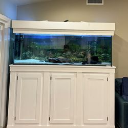 Fish Tank
