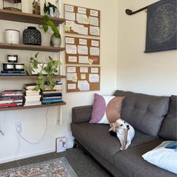 MCM Sleeper Couch 