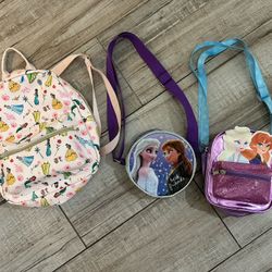 Toddler Disney Princess Purse/backpack