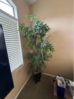 Artificial Plants