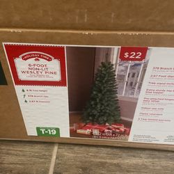 Free Tree