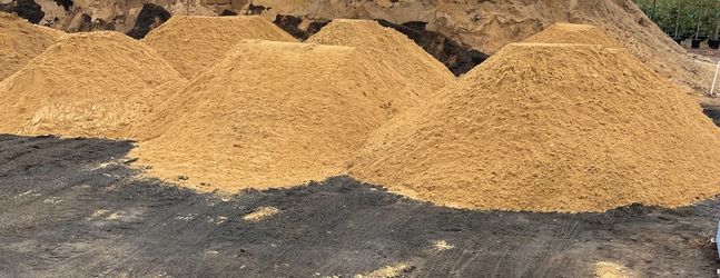 CLEAN SAND DELIVERED CHEAP