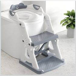 Potty Training Seat 2 In 1