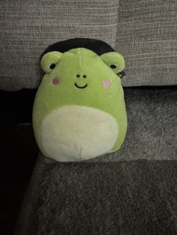 Frog With With Hat Plushie