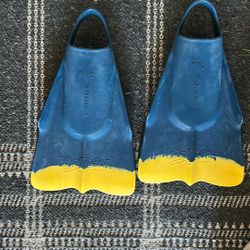 Dafin pro model fins