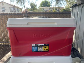Igloo