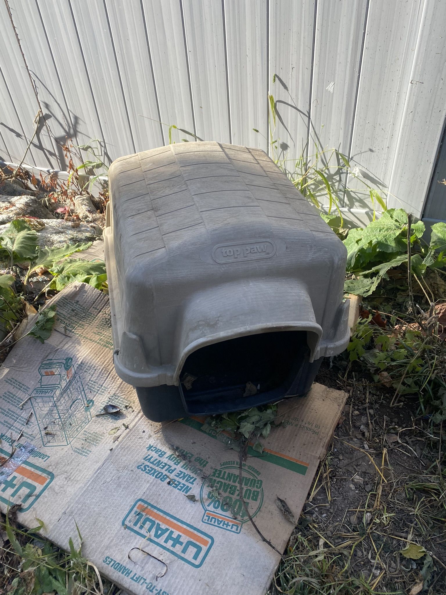 Q dog House