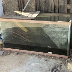 free large reptile aquarium