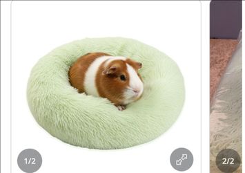 Green Guinea Pig bed