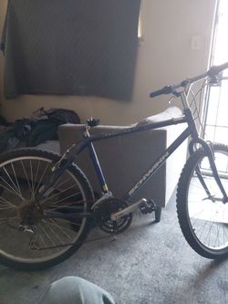 Frontier schwinn