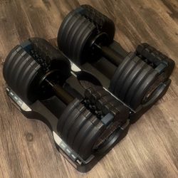 ProForm Weights