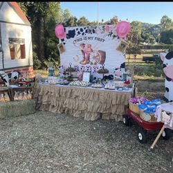 Rodeo Set Up