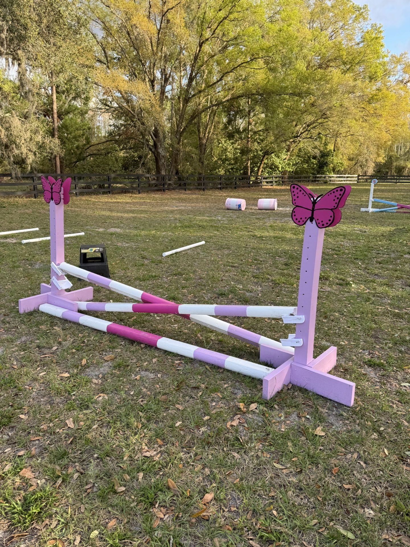 Horse Jumps 