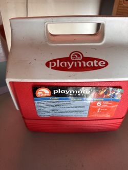 Small Playmate Chest