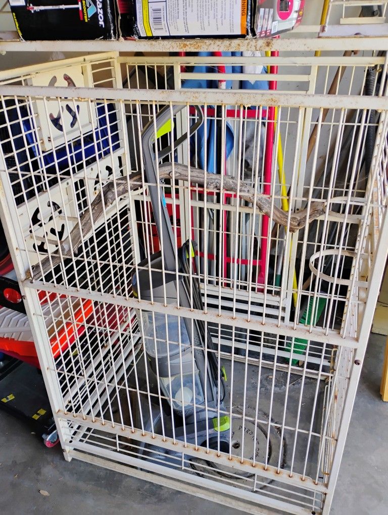 Bird Cage