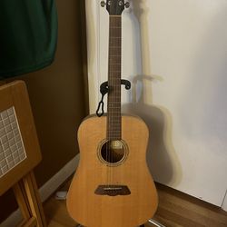 Laguna LD2 Acoustic Guitar 
