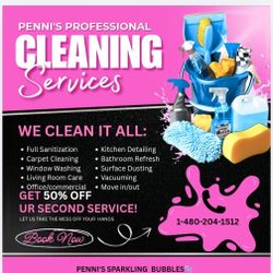 Professional  Cleaning