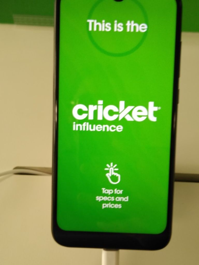 Cricket Influence