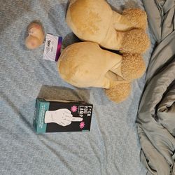 Sleepers 30,stress Boobs,5 Dollars,and The Fuck You Lamp 25 Everything Together 45 Dollars Lmn If Interested