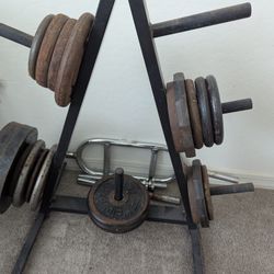 Weights And Weight Bench 