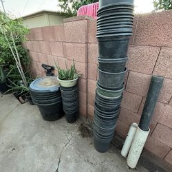 Planting buckets plastic containers plants planters for sale