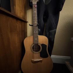 Olympia Tacoma Acoustic Guitar