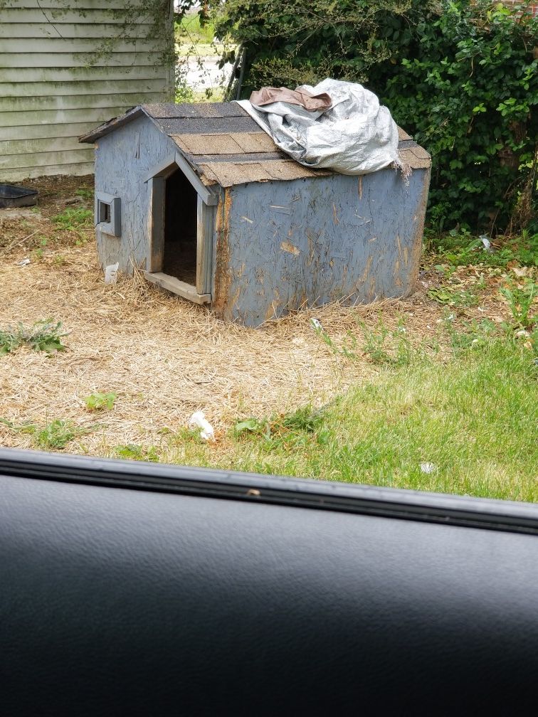 Dog house for sale no longer need
