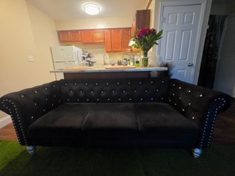 Velvet Loveseat in Black (3 Seater)