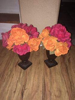 2 cute plants home decor