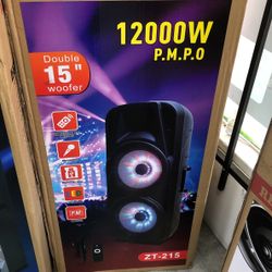 PROFESSIONAL SPEAKER SISTEM 