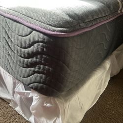 8 In Queen Mattress
